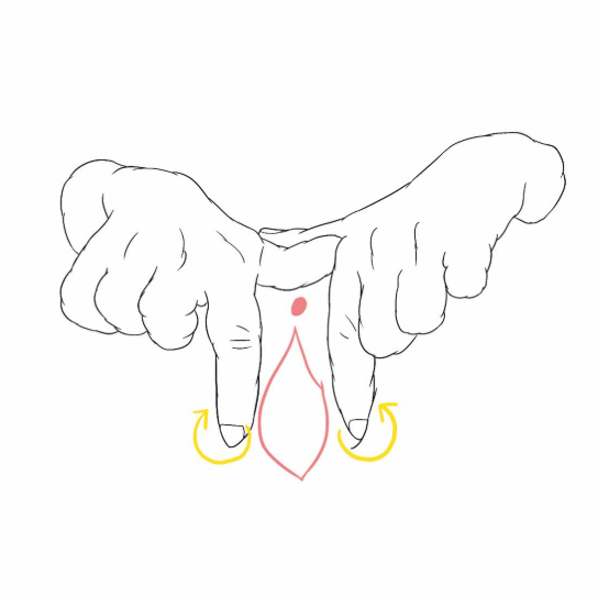 vagina’s aperture